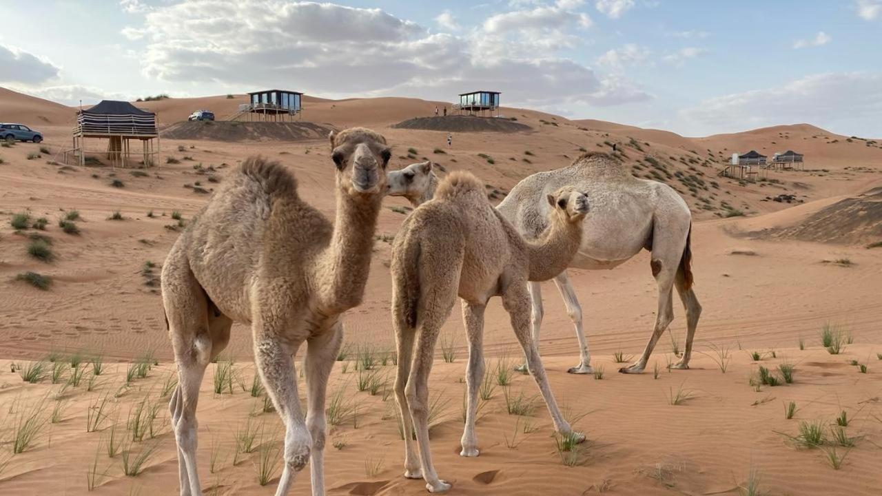 Oman Desert Private Camp Shāhiq 外观 照片